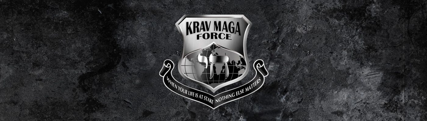 Krav Maga Force Michigan